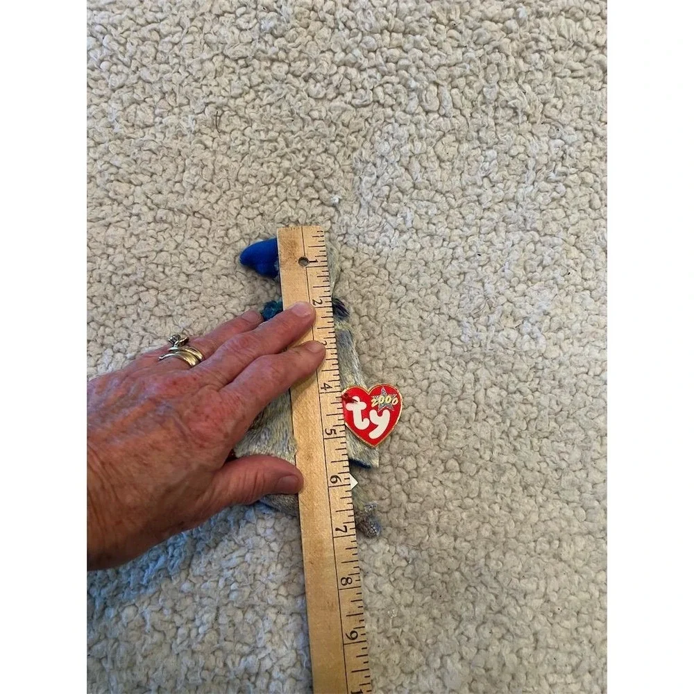 Ty Beanie Baby Buzzy the Buzzard Retired Vintage 2000‎ Plush Toy